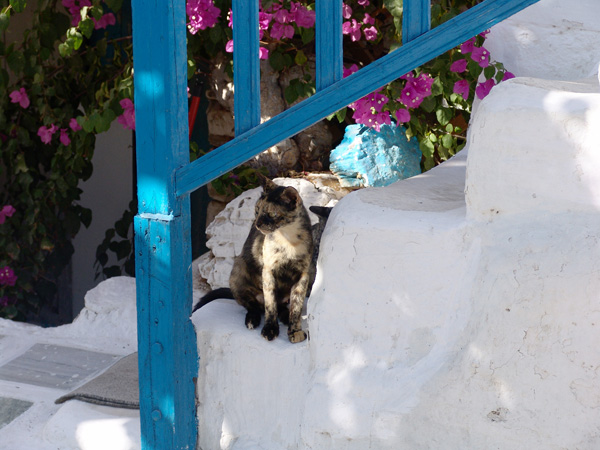 Au village d'Antiparos, île soeur de Paros, 2007.