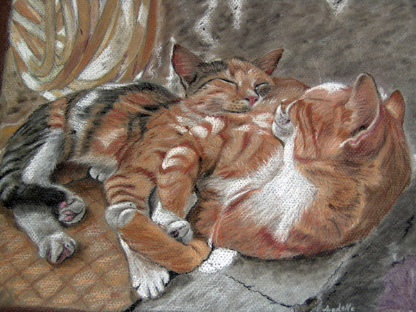 Sieste de chats, pastel, 42x30cm, d'après une photo de Jacques Lauber prise dans les Cyclades.