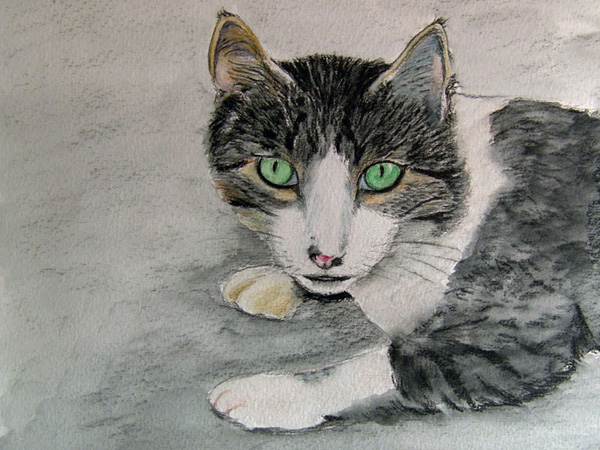 Chat aux yeux verts, crayon aquarelle, 30x21cm, d'après une photo prise par Azadelle dans les Cyclades.