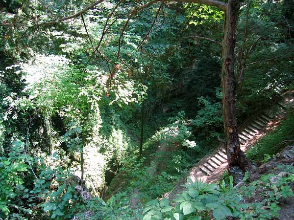 Les Gorges du Chauderon, juste au-dessus de Montreux: une nature sauvage et préservée.