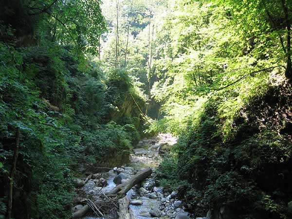 Les Gorges du Chauderon, juste au-dessus de Montreux: une nature sauvage et préservée.