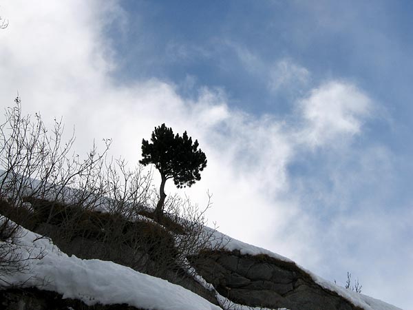 Vision hivernale tout au fond du Val Ferret (Valais), au-delà du village du même nom.