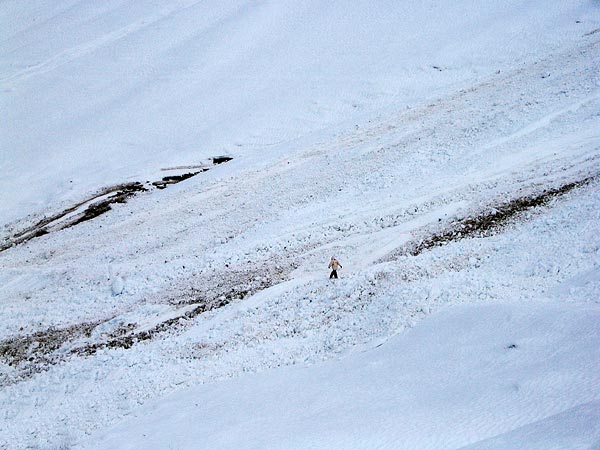 Traversée d'une avalanche tout au fond du Val Ferret (Valais), au-delà du village du même nom.
