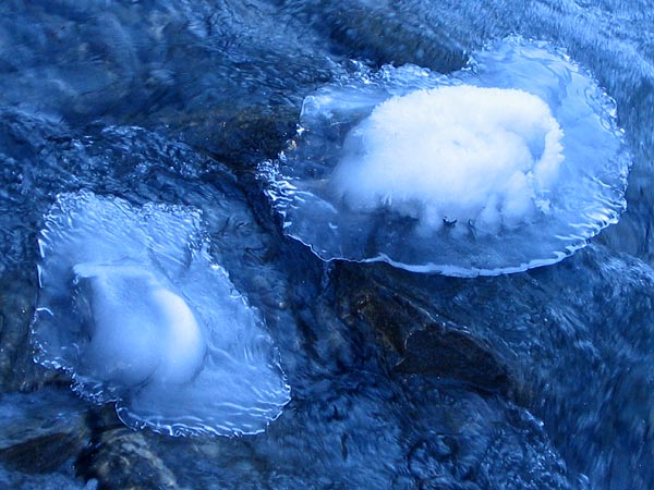 Iles de glace dans la Dranse de Ferret (Valais)...