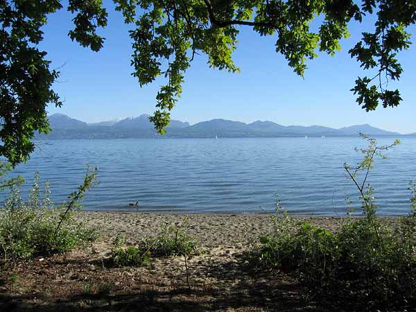 Lausanne: le bord du lac à Vidy.
