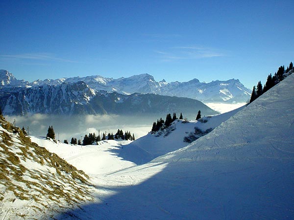 Janvier 2003 à la Berneuse (alt. 2048 m), au-dessus de Leysin et de la mer de brouillard.