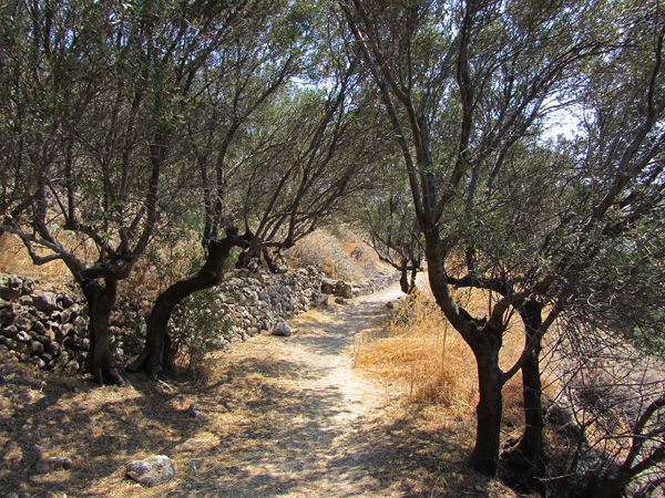 Aspects de Milos, l'&icirc;le volcanique des Cyclades o&ugrave; fut retrouv&eacute;e la V&eacute;nus de Milo. Septembre 2011.