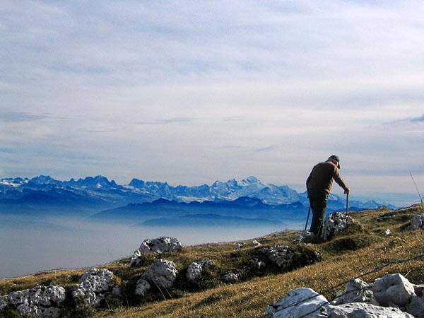 Promenade sur la crête du Mont-Tendre, avec une vue imprenable sur la chaîne des Alpes.