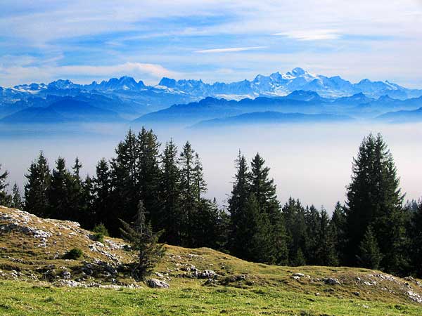 Au Mont-Tendre, une vue splendide sur la chaîne des Alpes.