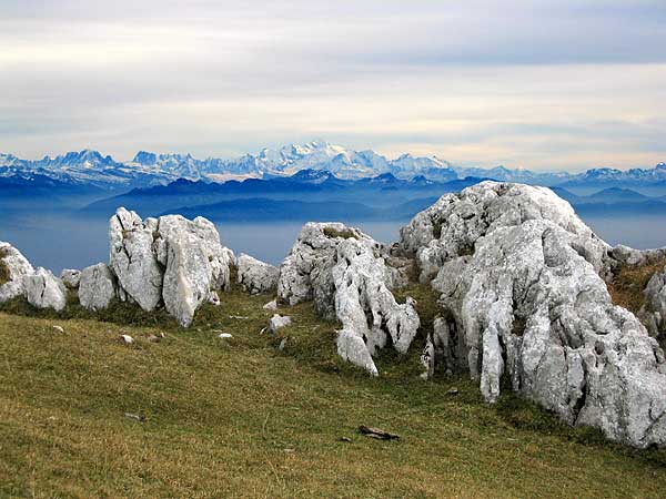 Le Mont-Tendre, plus haut sommet du Jura vaudois, face à la chaîne des Alpes.