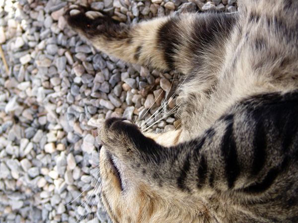 Aspects de Naxos, la plus grande et la plus haute &icirc;le des Cyclades, 2007.