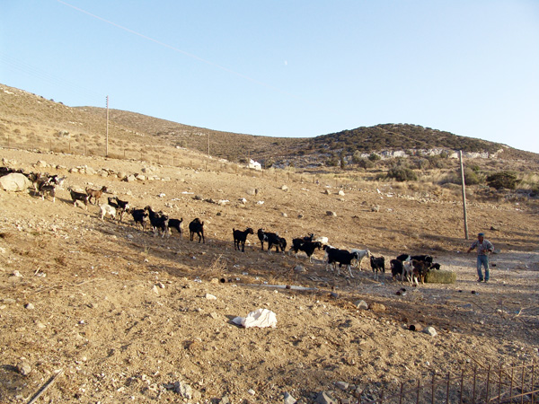 Aspects de Naxos, la plus grande et la plus haute &icirc;le des Cyclades, 2007.