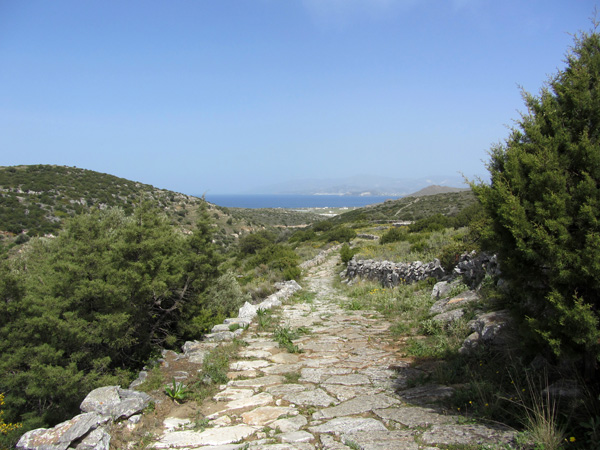 Paros, Cyclades, avril 2012. Balade sur l'ancienne route byzantine reliant Lefkes et Prodromos.