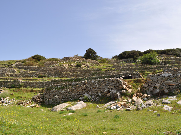 Paros, Cyclades, avril 2012. Balade sur l'ancienne route byzantine reliant Lefkes et Prodromos.