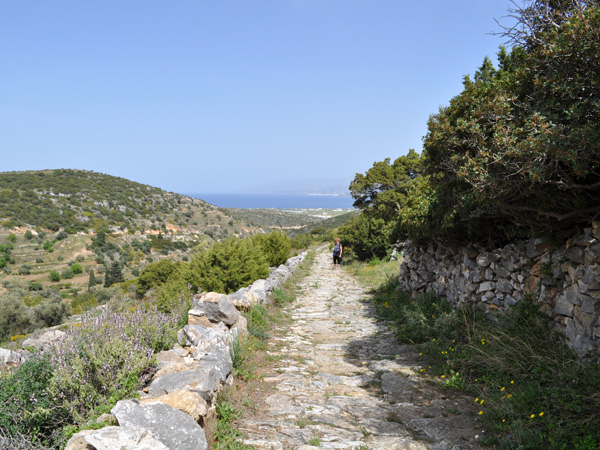 Paros, Cyclades, avril 2012. Balade sur l'ancienne route byzantine reliant Lefkes et Prodromos.