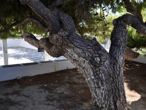Aspects de Paros, Cyclades: Naoussa, septembre 2011.