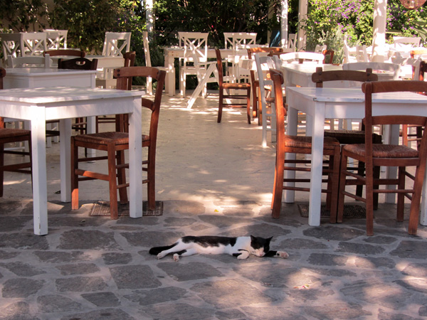 Au pays des 10 millions de chats, Paros, septembre 2011.