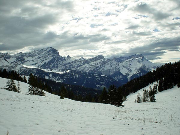 Vue sur les Alpes depuis Bretaye, sur les hauts de Villars.