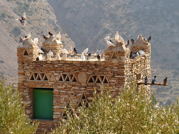 Aspects de Sifnos, une &icirc;le peu connue des Cyclades, dont la gastronomie est tr&egrave;s r&eacute;put&eacute;e. Septembre 2011.