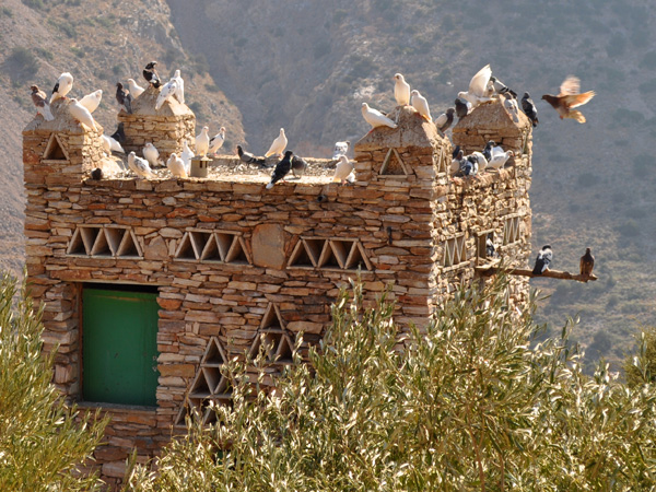 Aspects de Sifnos, une &icirc;le peu connue des Cyclades, dont la gastronomie est tr&egrave;s r&eacute;put&eacute;e. Septembre 2011.