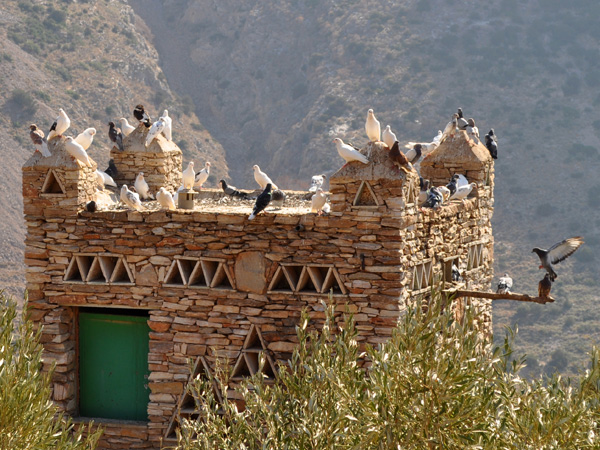 Aspects de Sifnos, une &icirc;le peu connue des Cyclades, dont la gastronomie est tr&egrave;s r&eacute;put&eacute;e. Septembre 2011.