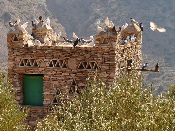 Aspects de Sifnos, une &icirc;le peu connue des Cyclades, dont la gastronomie est tr&egrave;s r&eacute;put&eacute;e. Septembre 2011.