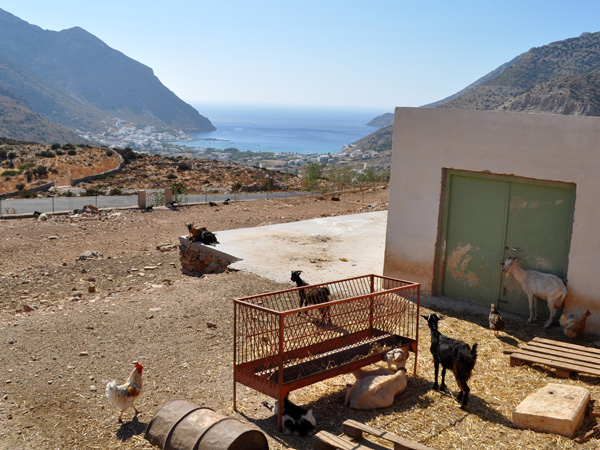 Aspects de Sifnos, une &icirc;le peu connue des Cyclades, dont la gastronomie est tr&egrave;s r&eacute;put&eacute;e. Septembre 2011.