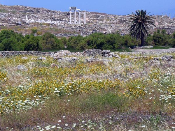 Délos, l'île sacrée de la Grèce antique, juin 2003.
