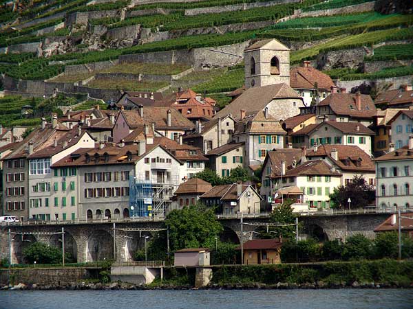 St-Saphorin vu du lac, août 2004.