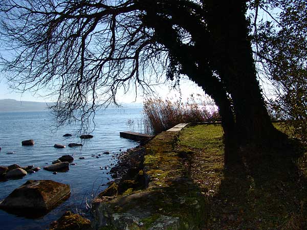 Sur les rives de la petite ville de Grandson, au bord du lac de Neuchâtel, juste à côté d'Yverdon-les-Bains. Région des Trois-Lacs, 2005.