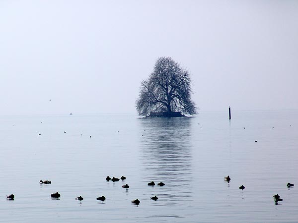 L'île de Peilz, face à Villeneuve, 20 mars 2005.