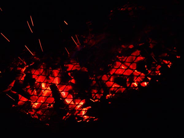 Ambiances du Paléo Festival 2005, mardi 19 juillet 2005.