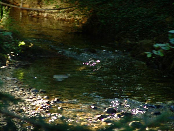 Ambiances du Paléo Festival 2005, vendredi 22 juillet 2005.