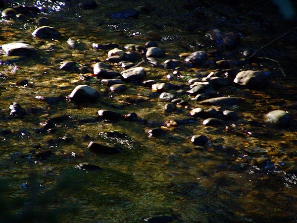 Ambiances du Paléo Festival 2005, vendredi 22 juillet 2005.