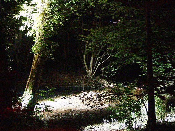 Ambiances du Paléo Festival 2005, samedi 23 juillet 2005.