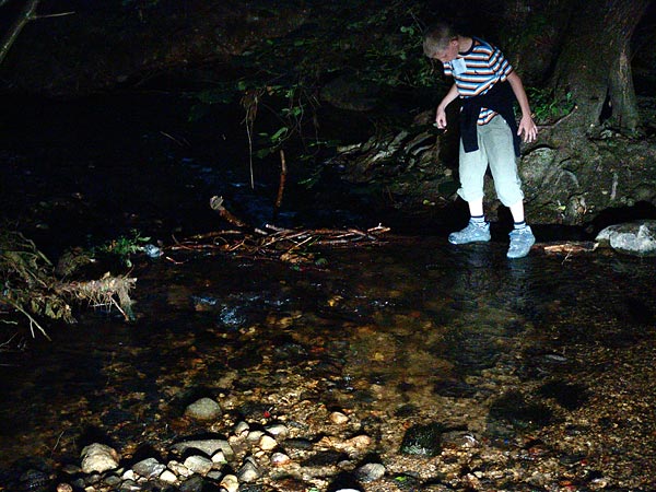 Ambiances du Paléo Festival 2005, dimanche 24 juillet 2005.