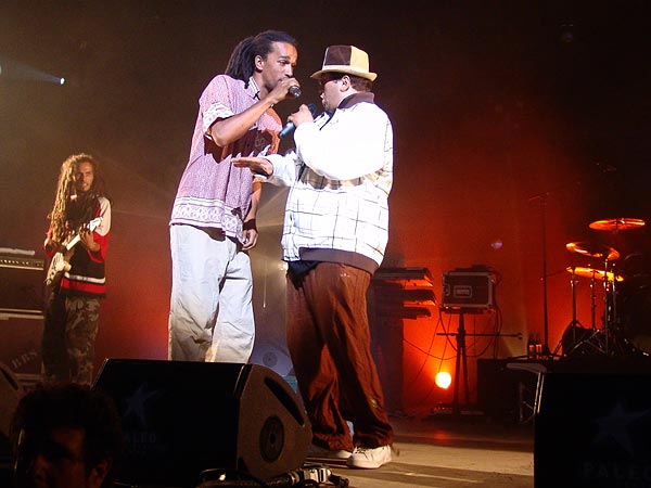 Paléo Festival 2006: Dub Incorporation, Chapiteau, mercredi 19 juillet 2006.