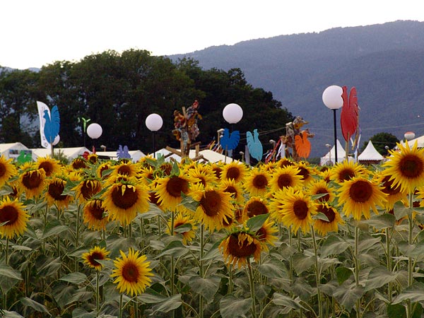 Ambiances du 31e Paléo Festival, 18-23 juillet 2006.