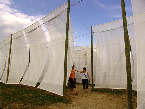 Ambiances du 31e Paléo Festival, 18-23 juillet 2006.