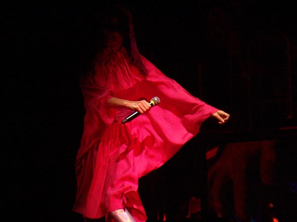 Paléo Festival 2007: Björk, Grande Scène, mercredi 25 juillet 2007. L'elfe islandais a fait très fort sur la Grande Scène, emmenant les spectateurs dans des contrées à la fois féeriques et ultratechniques... Björk, c'est la rencontre entre les contes de fées et la science-fiction, illustrée par une musique difficile mais fascinante...