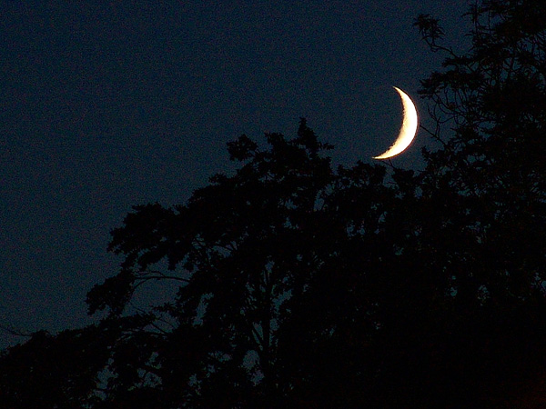 Ambiances de Paléo 2009, Nyon, 21-26 juillet.