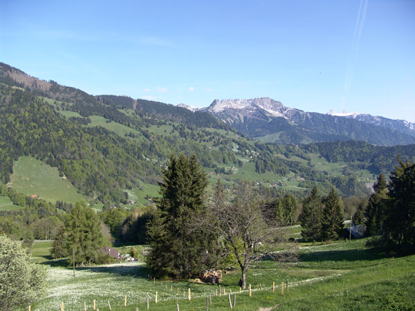 Vue sur le Vallon de Villard et le massif des Rochers-de-Naye depuis les Pléiades, mai 2010.