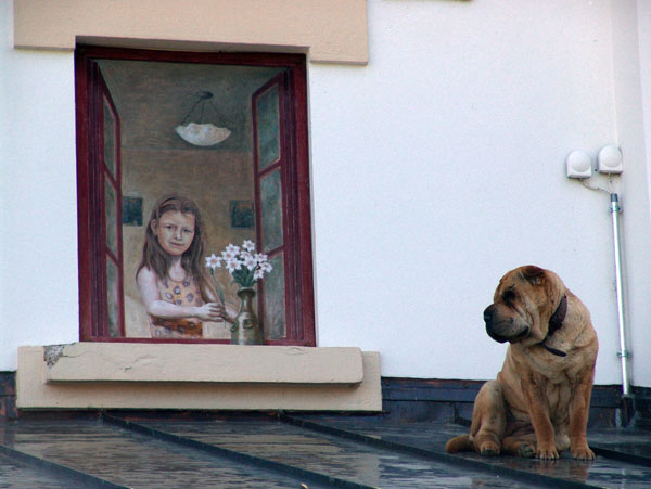 Scène de vie de chien à l'Hôtel des Sapins, aux Pléiades, mai 2010.