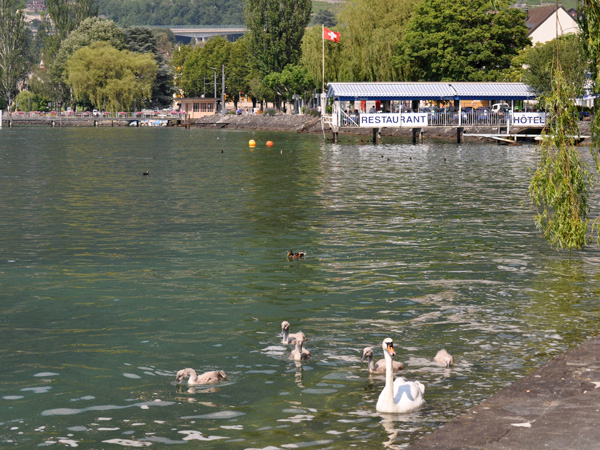 Quais de Villeneuve, juin 2010.