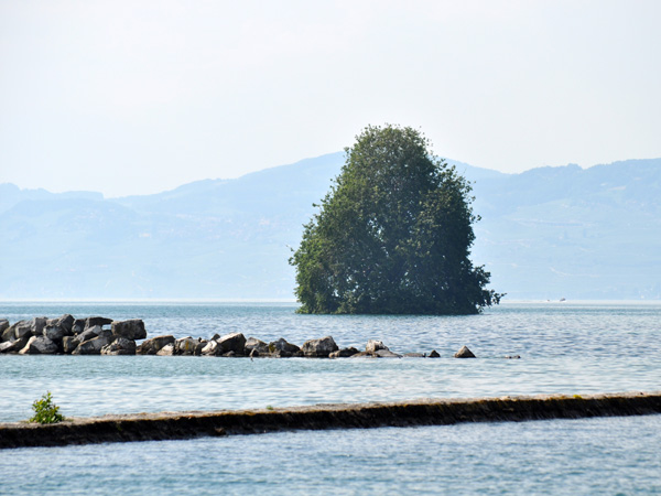 La minuscule île de Peilz, à Villeneuve, juin 2010.