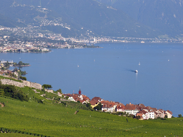 Vue sur le village de Rivaz en Lavaux, juillet 2010. On distingue à l'arrière-plan la Riviera vaudoise.