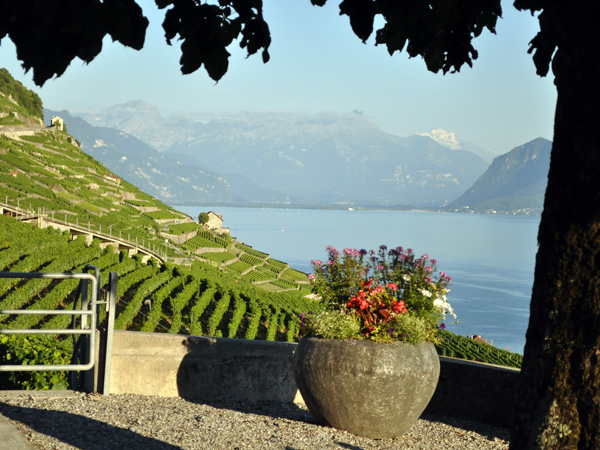 Vue sur le Dézaley et le Haut-Lac depuis le village d'Epesses, en Lavaux, juillet 2010.