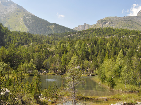 Le site naturel protégé de Derborence, au Valais, août 2010.