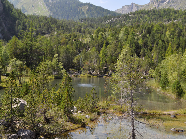Le site naturel protégé de Derborence, au Valais, août 2010.