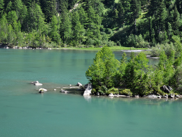 Vue sur le lac de Derborence, au Valais, août 2010.